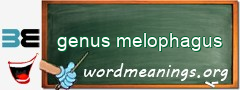 WordMeaning blackboard for genus melophagus